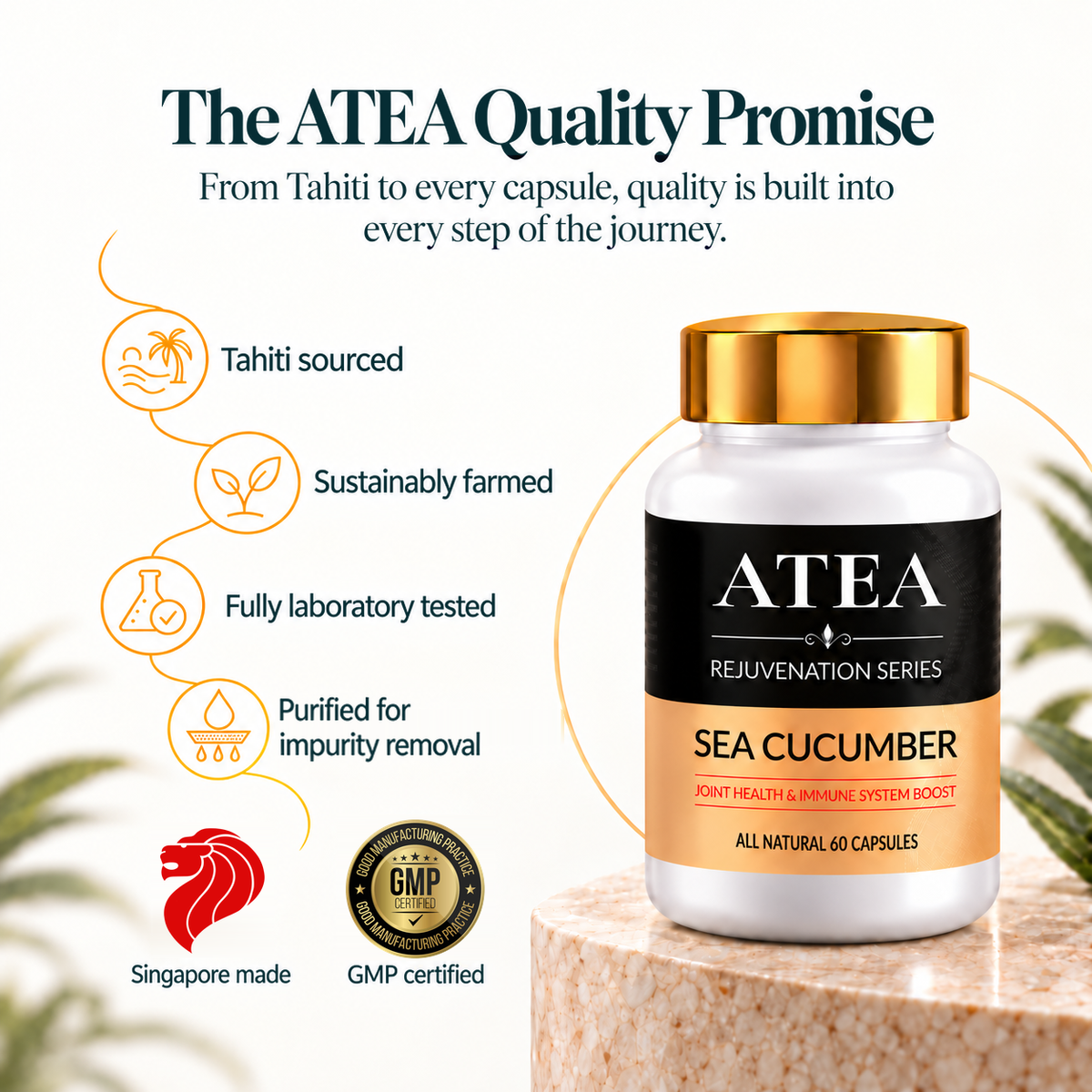 ATEA Rejuvenation Series — Sea Cucumber Capsules