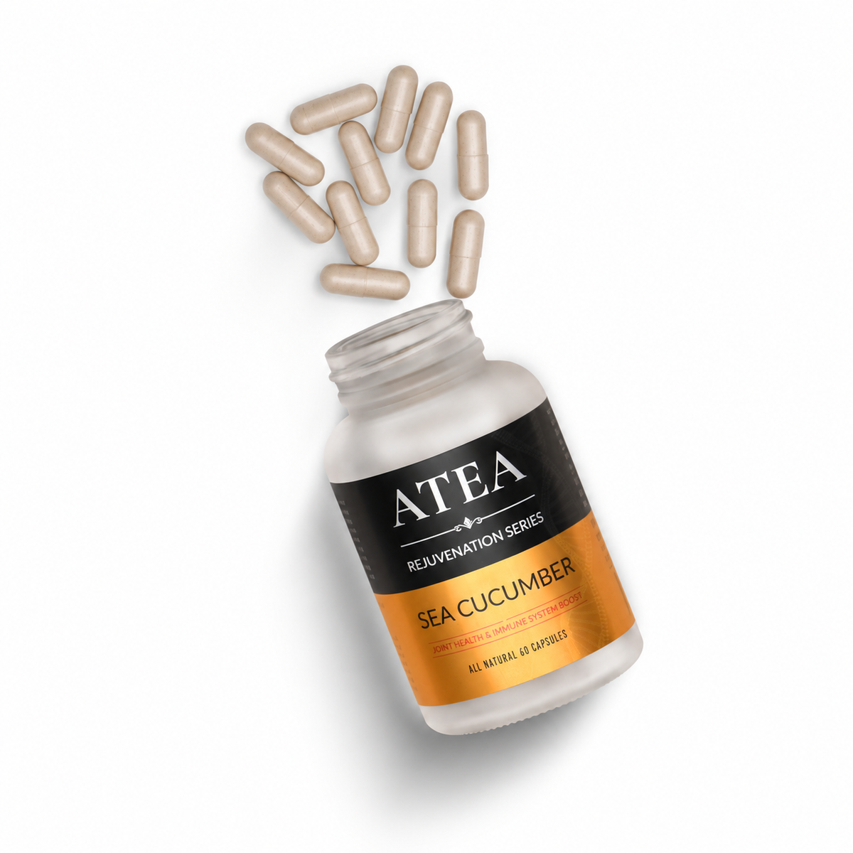 ATEA Rejuvenation Series — Sea Cucumber Capsules